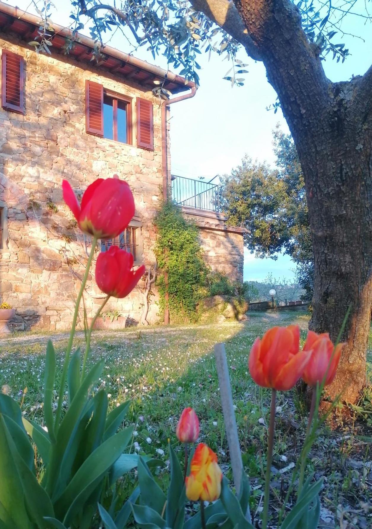 Casa Gioia Apartment Greve in Chianti Exterior photo